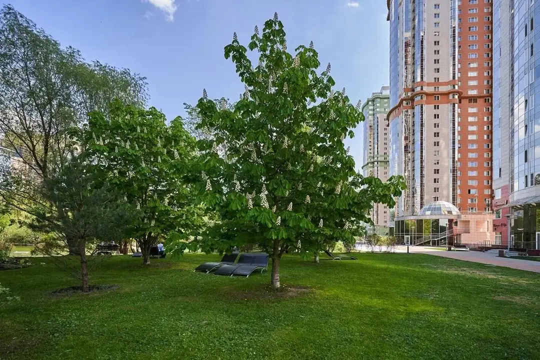 2-комнатная квартира 63 м², корпус 4 ЖК «Миракс Парк» — фото 8
